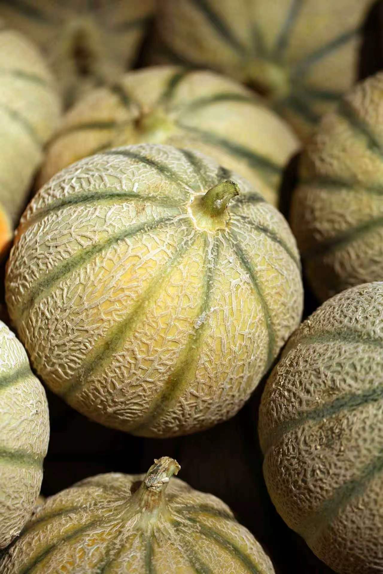Fruits du terroir
