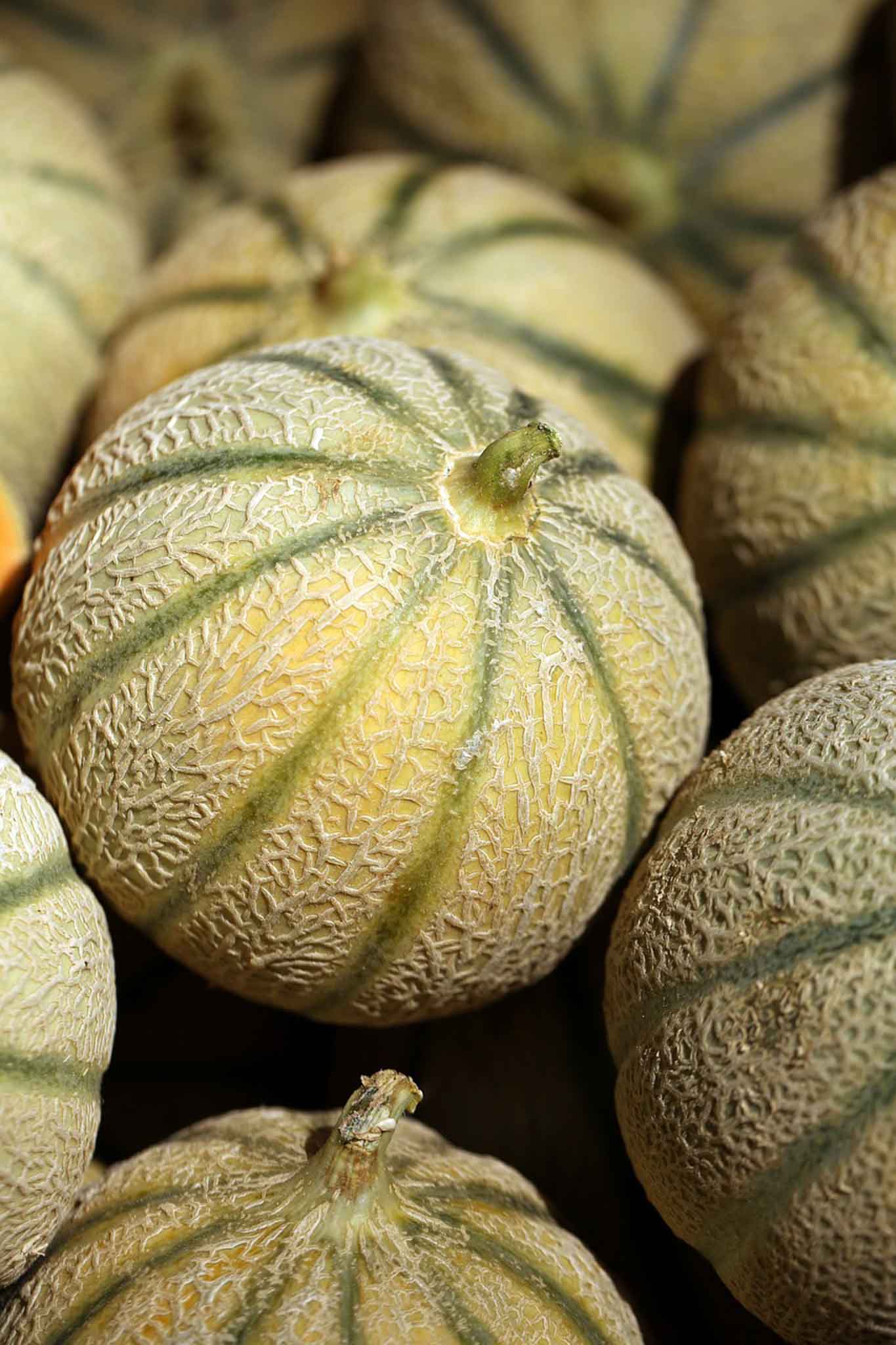 Légumes frais et locaux de la région de Montpellier